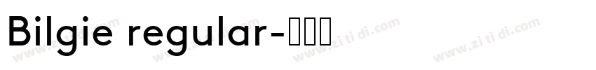Bilgie regular字体转换